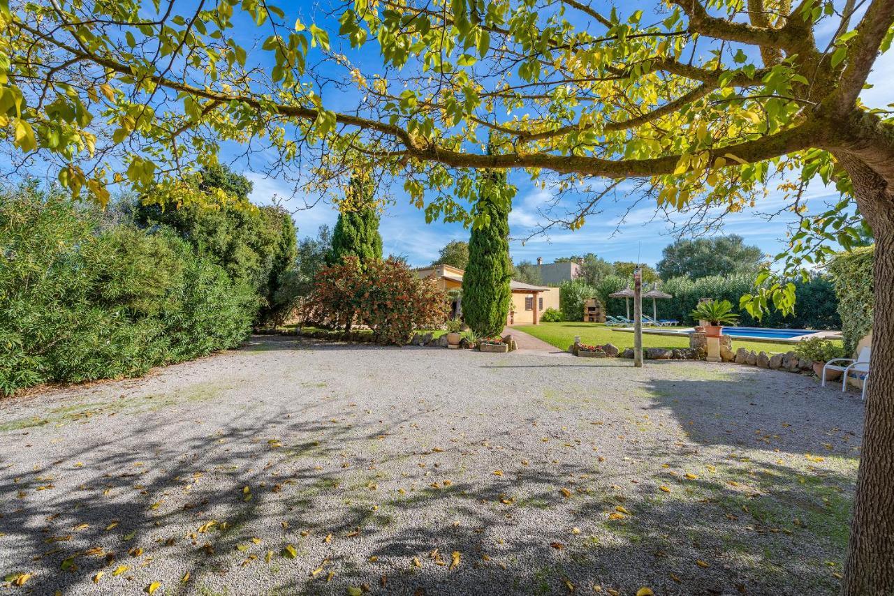 Villa Llompart By Js